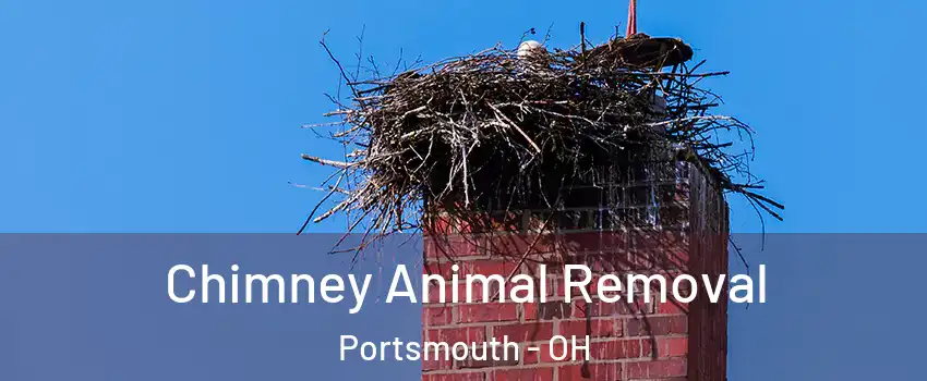  Chimney Animal Removal Portsmouth - OH