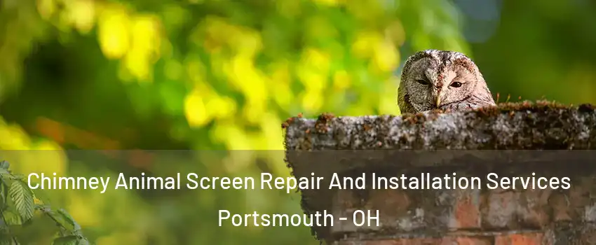  Chimney Animal Screen Repair And Installation Services Portsmouth - OH