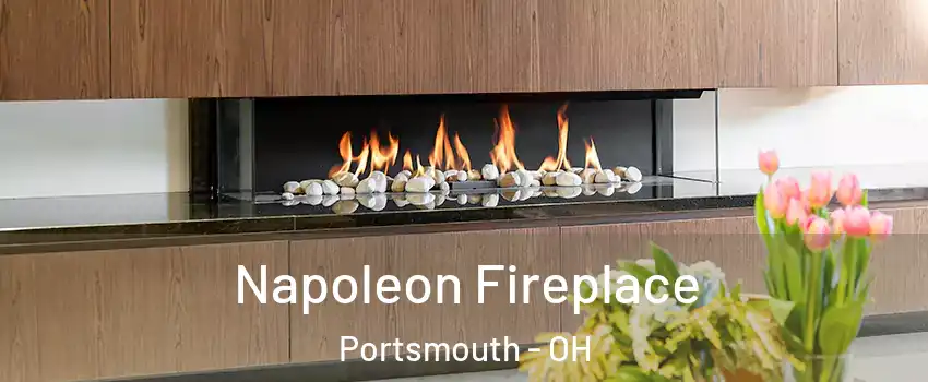  Napoleon Fireplace Portsmouth - OH